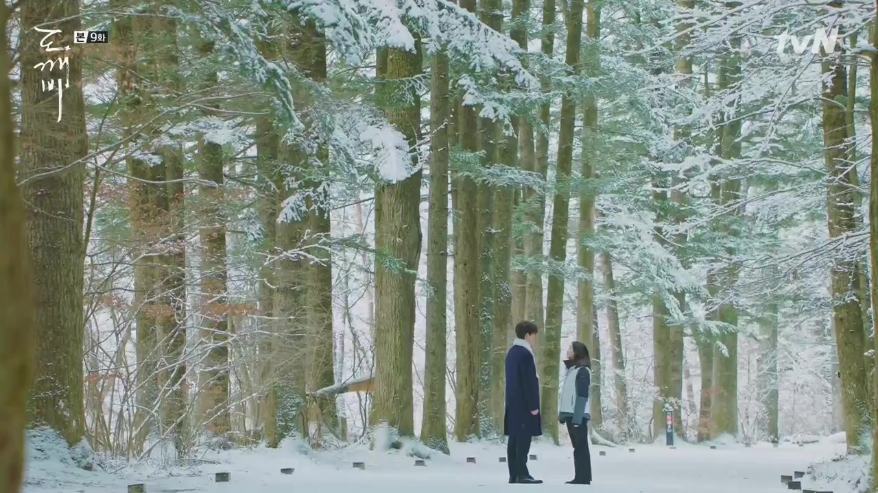 goblin_ep9-10_2017-01-08-13h51m48s814